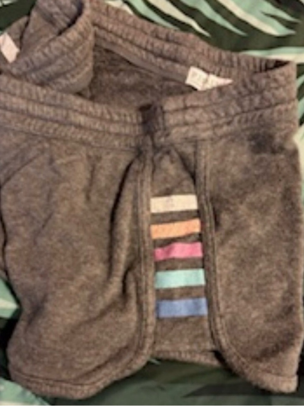 P.J. Salvage Gray Fleece Shorts with Colorful Stripe Detail